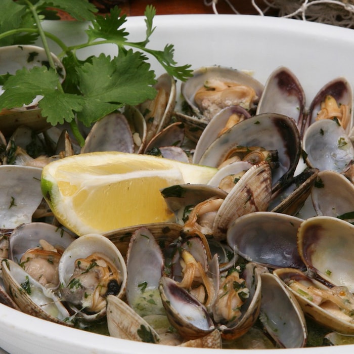 Aula de cozinha de ameijoas