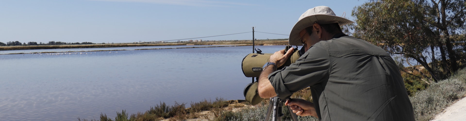 Rota das Aves e Tours da natureza